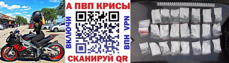 omg рабочий сайт  Чердынь  Альфа ПВП СК 