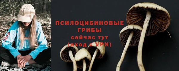 apvp Алексин