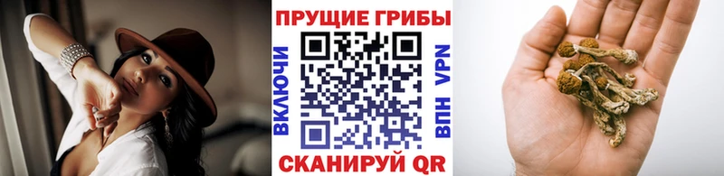 Галлюциногенные грибы прущие грибы  Чердынь 